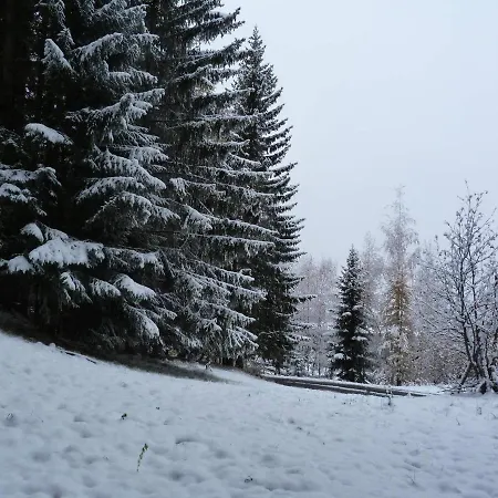 Duplex Cosy 4 Pers, Proche Pistes Et Commerces - Village De Charmettoger, Arc 1800 - Fr-1-411-278 شقة
